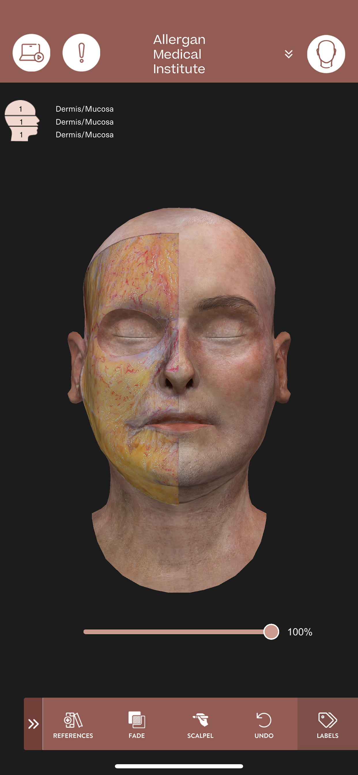 AMI Essentials: 3D Anatomy TH screenshot 5