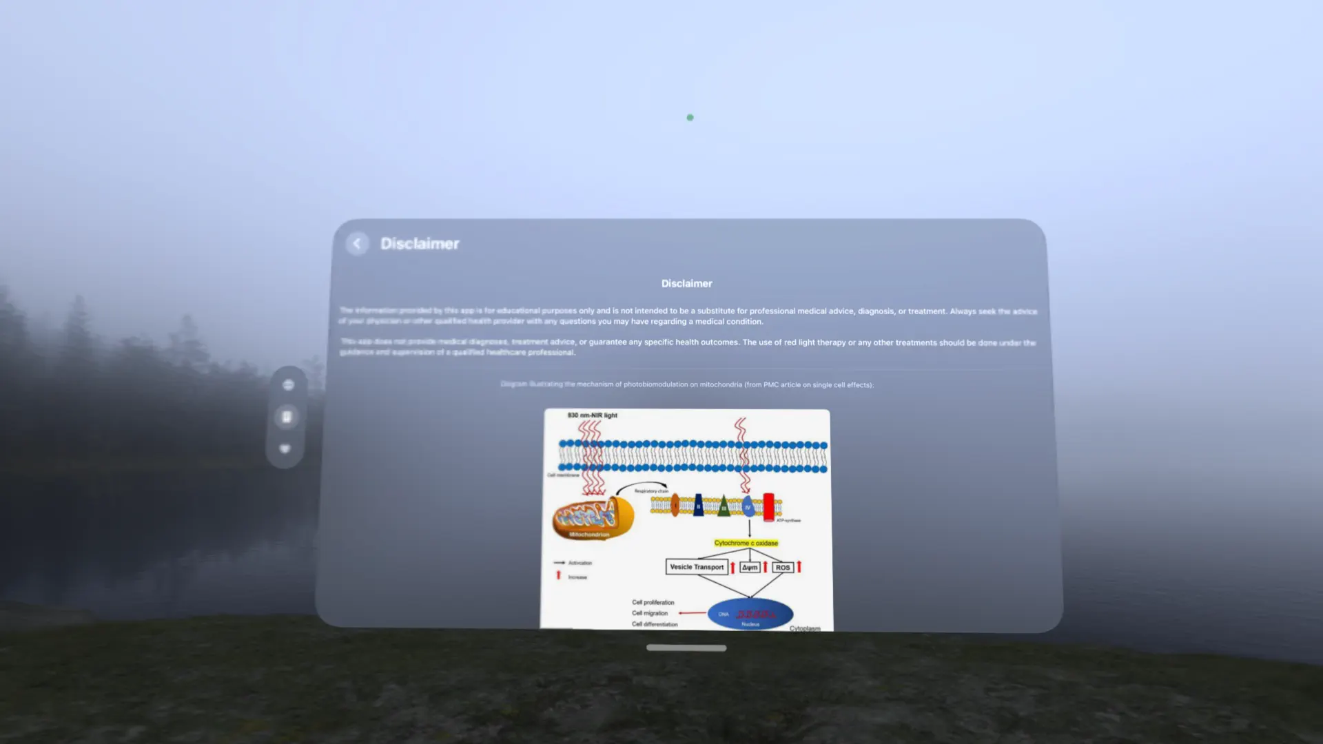 Red Light For Your Eyes screenshot 7