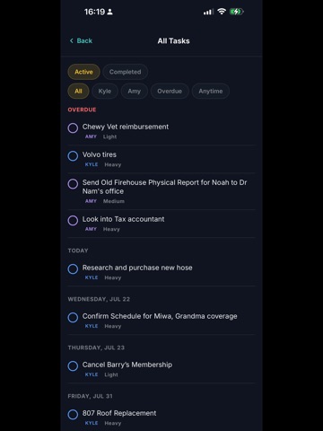 The Husband App: Household AI iPad screenshot