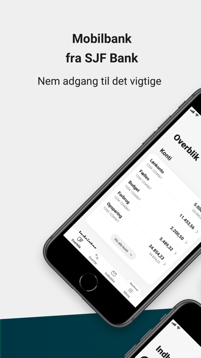 SJF Bank Screenshot