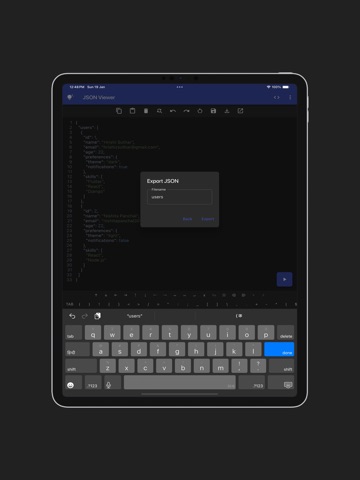 JSON Viewer(Pro) iPad screenshot