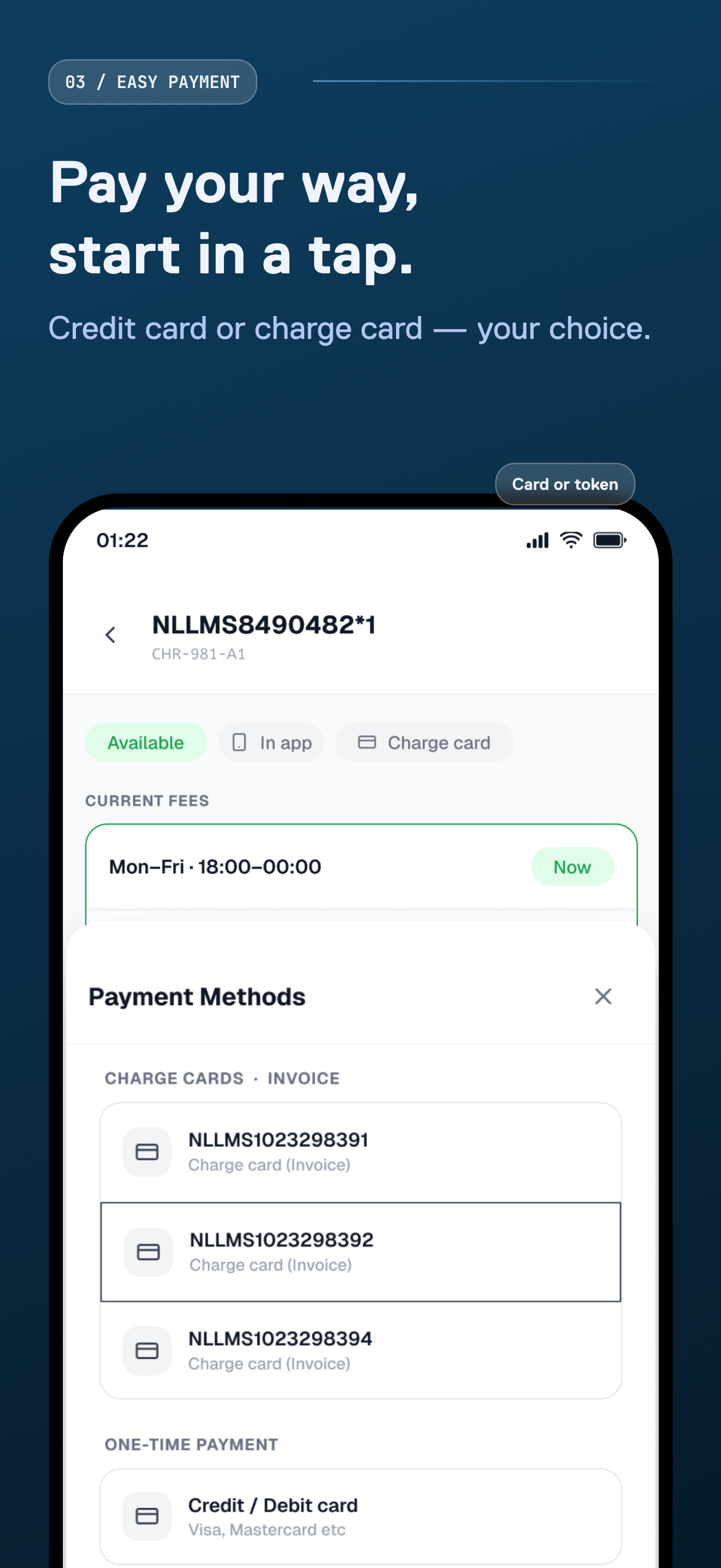 D'Ieteren Energy - Charging screenshot 3