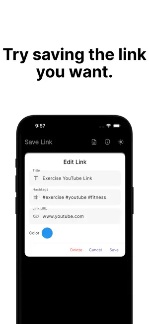 Save Link Box screenshot 2