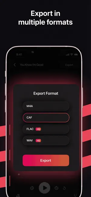 Stemz: vocal remover pro ai iPhone screenshot 5