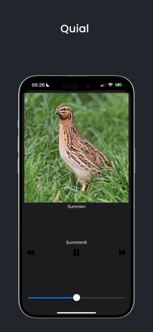 Suffara Screenshot 3 of 5