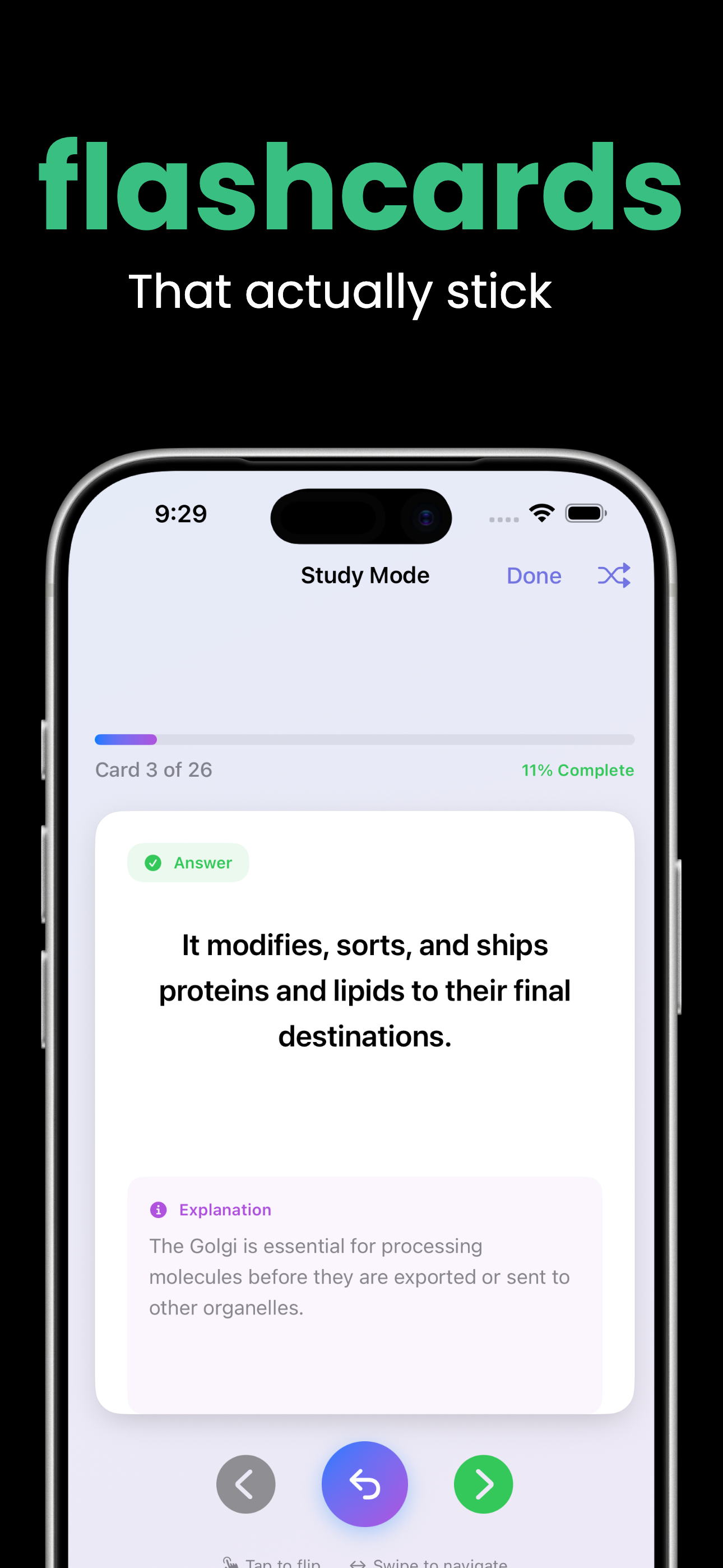 Laxu AI: Quiz & Flashcards screenshot 3