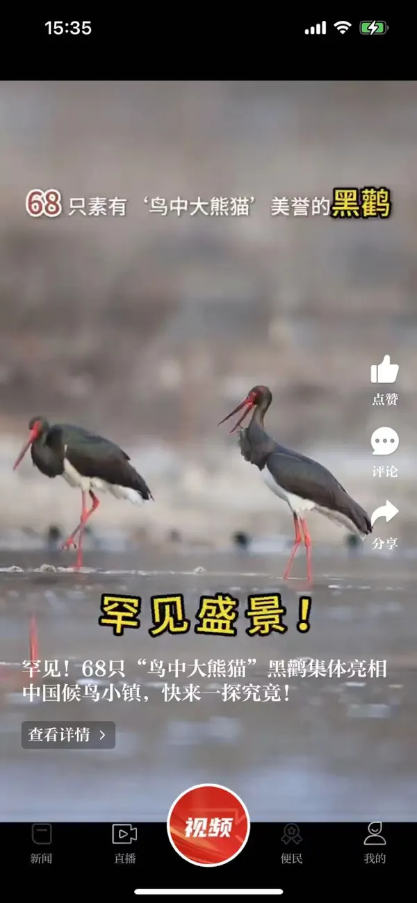 Screenshot #3 pour 书香金溪