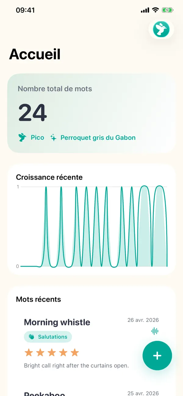 Screenshot #3 pour Vocabulaire Perroquet