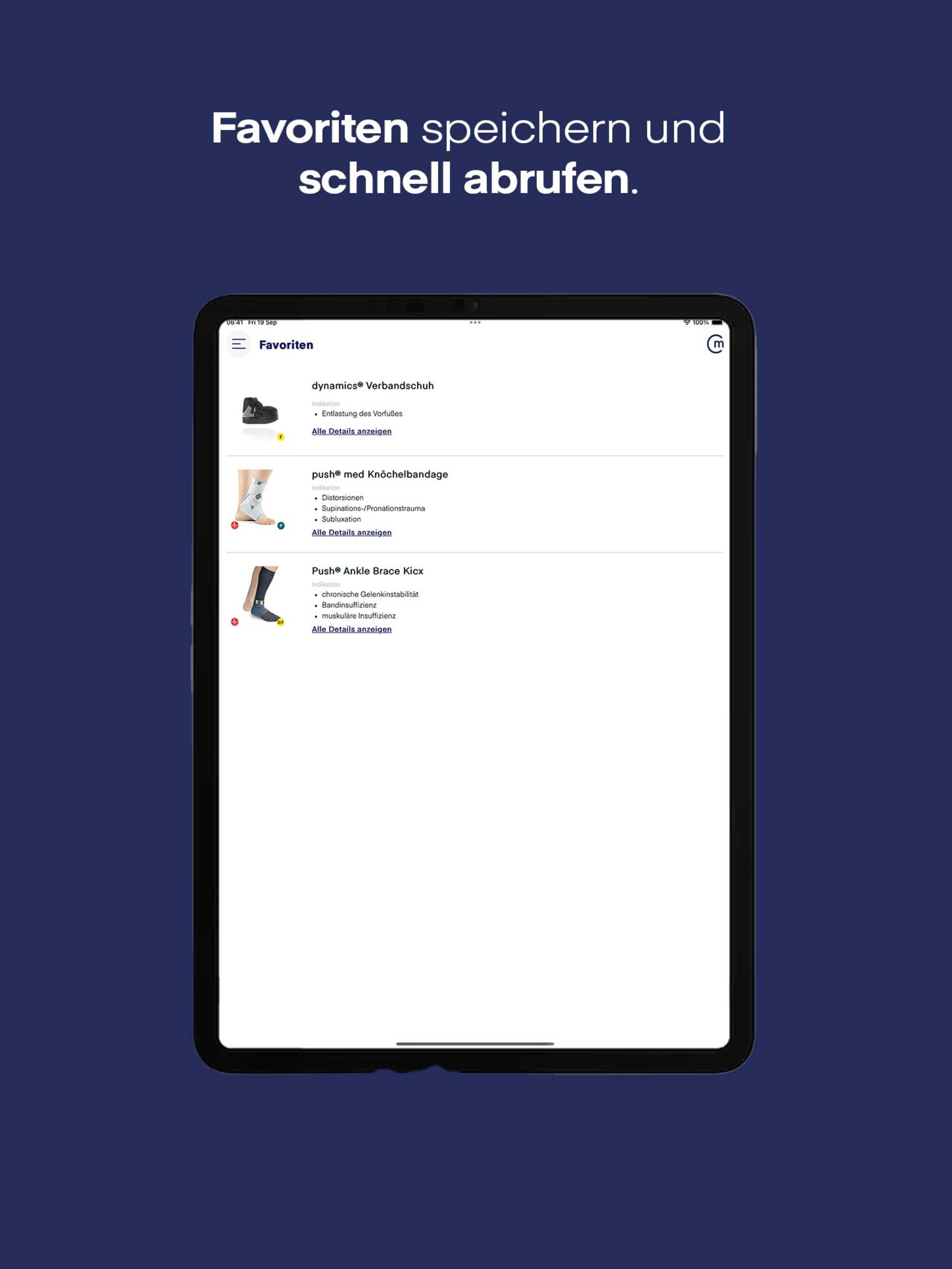 Maierhofer screenshot 8