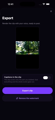 Dubtake Video Dubbing Screenshot 4 of 5