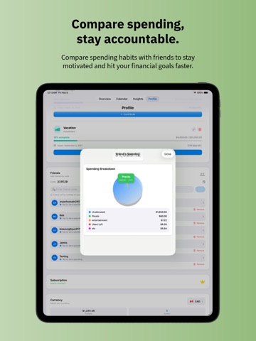 Budget Simple: Expense Tracker iPad screenshot