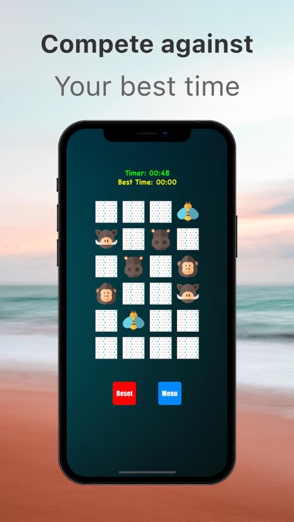 Memory Match Brain Exerciser
