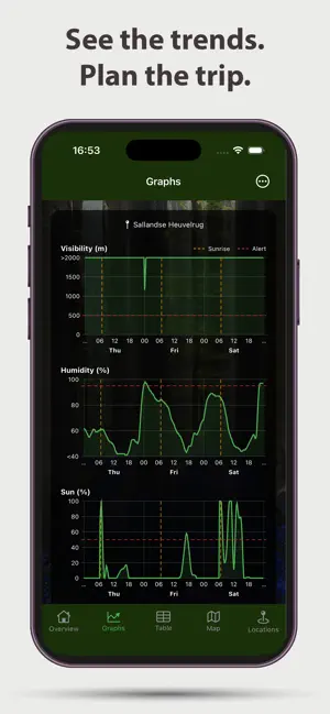 Forest Weather screenshot 3