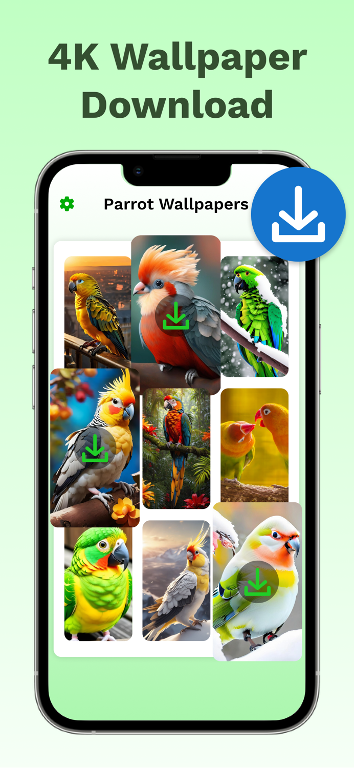 Parrot Sounds  4K Wallpapers