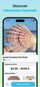 Sea Shell Identifier & Guide screenshot #3 for iPhone