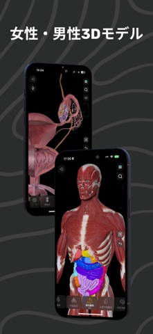 Easy Anatomy 3D 音声AI搭載 のスクリーンショット