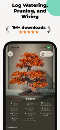 Bonsai screenshot 2