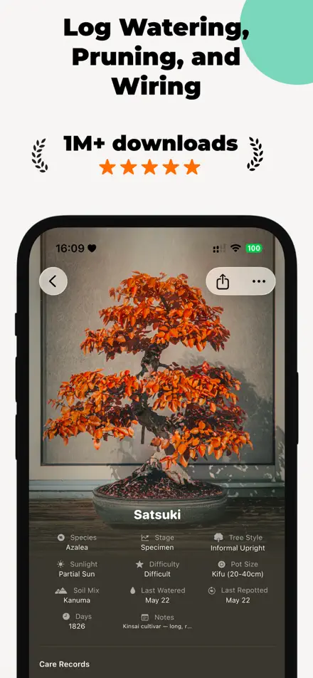 Bonsai screenshot 2