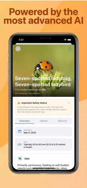 Bug Identifier screenshot 3