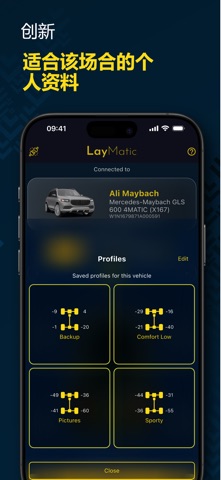 LayMatic screenshot