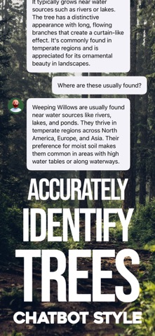 Tree ID: AI Forest Scanner Screenshot 1 of 4