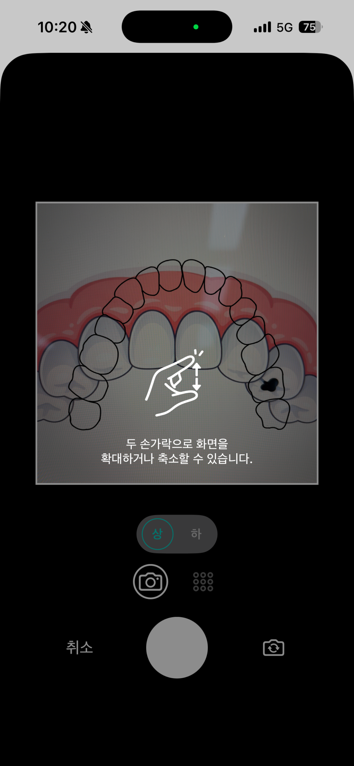 Toothly