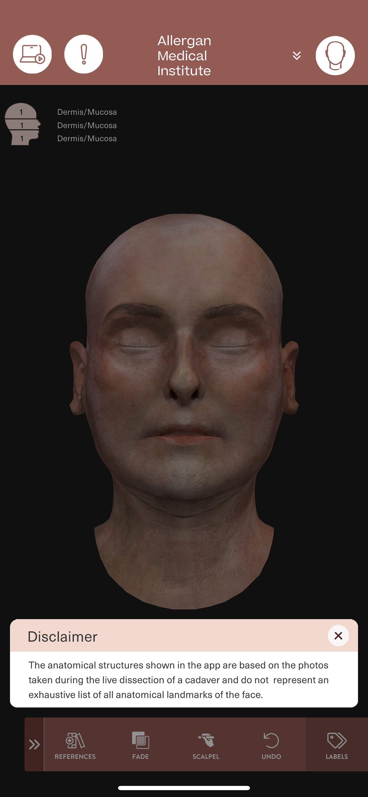 AMI Essentials:3D Anatomy BNL screenshot 3
