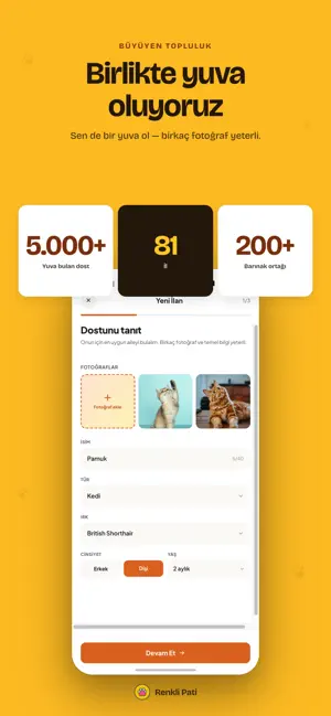 Renkli Pati: Sahiplendirme screenshot 4