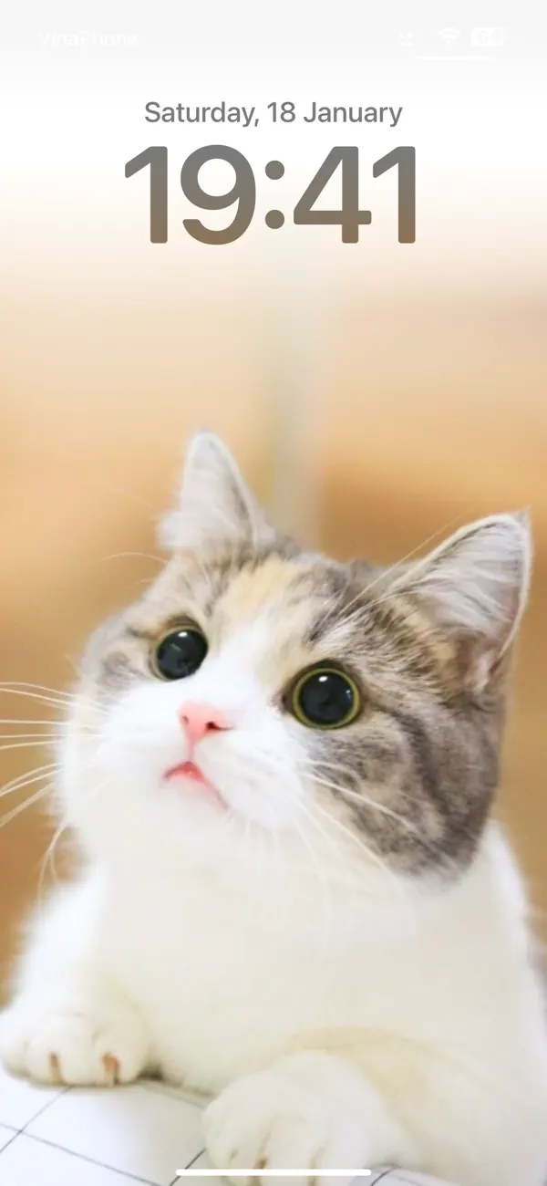 Screenshot #2 pour Cat Wallpapers Cute