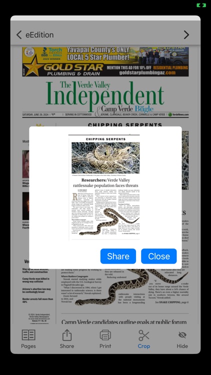 The Verde Independent screenshot-6