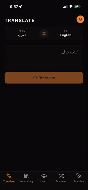 Lisaan screenshot 4