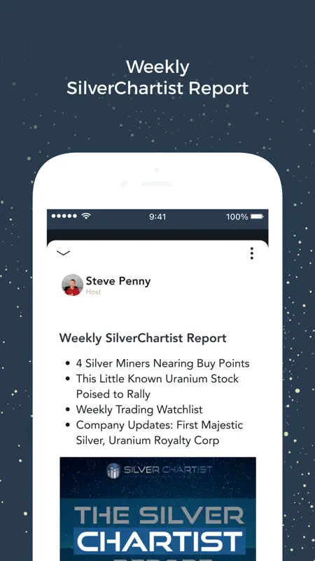 SilverChartist screenshot 4 of 4