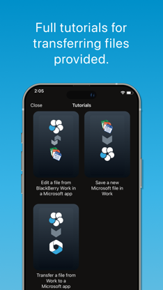 BlackBerry Enterprise BRIDGE screenshot 2