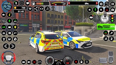 Highway Police Car Chase Screenshot