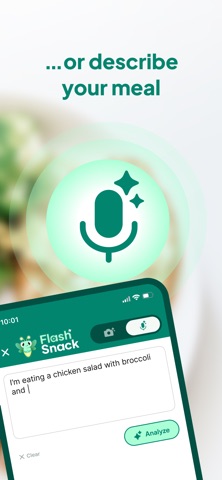 FlashSnack Screenshot 4 of 9