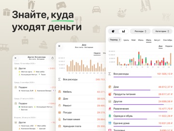 Учет расходов - Money Flow iPad screenshot 2