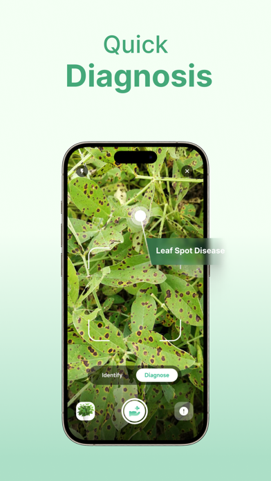 Plant Identifier - AI Diagnose Screenshot