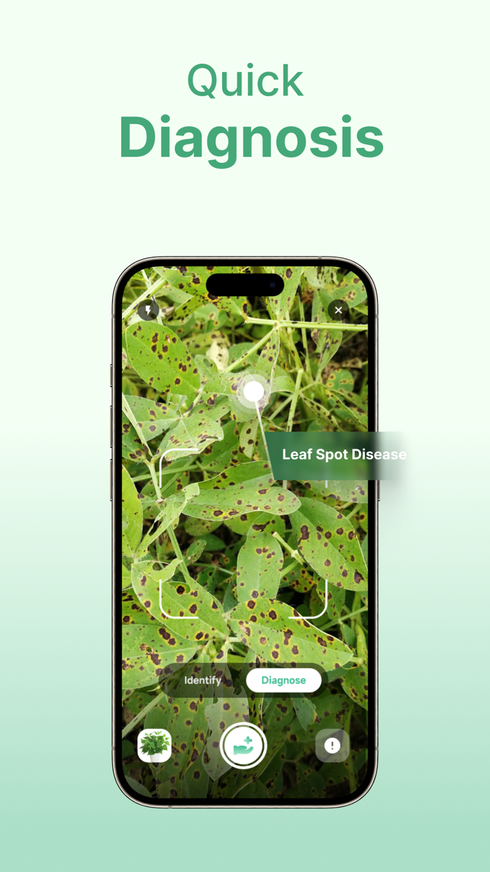 Plant Identifier - AI Diagnose
