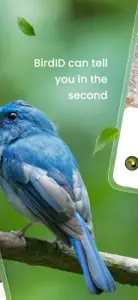 Bird ID: Bird call identifier screenshot #2 for iPhone