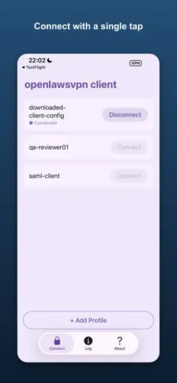 Скриншот OpenLawsVPN Client на iPhone 2