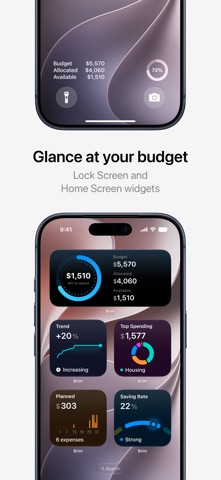 Budget Tracker - Brim Screenshot 10 of 10