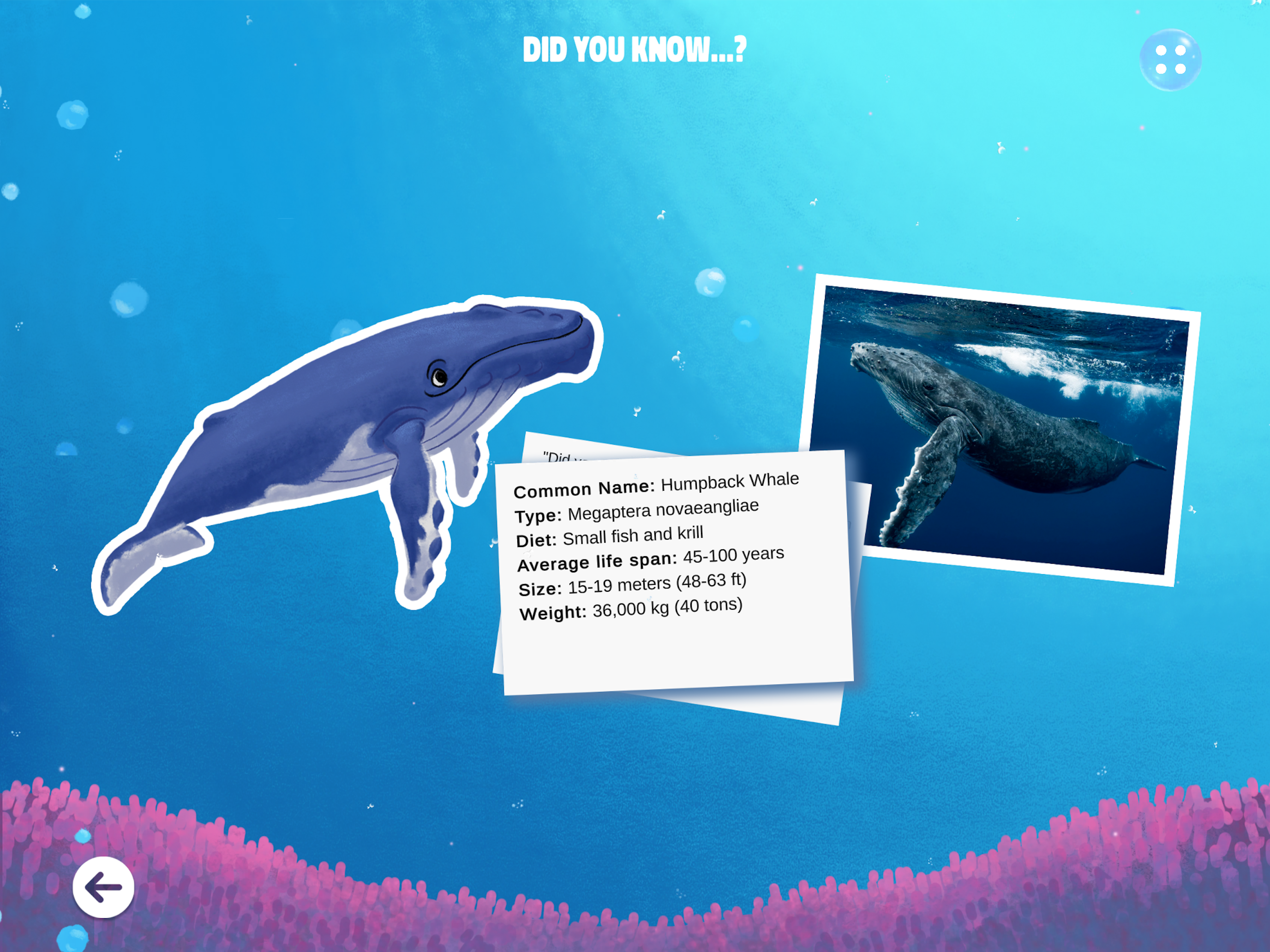 The Last Whale Singer Book