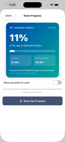 Freedom Runway Screenshot 2 of 5