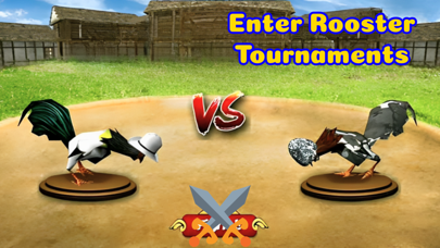 Rooster Battle-Chicken Fight Screenshot