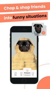 Cut and Paste: Photos Editor screenshot