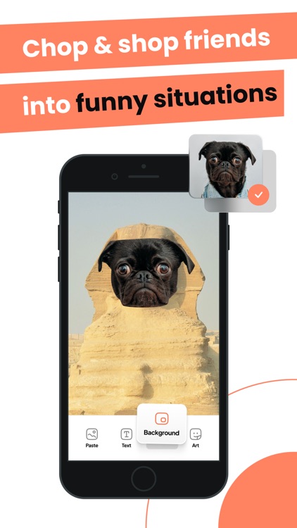 Cut and Paste: Photos Editor