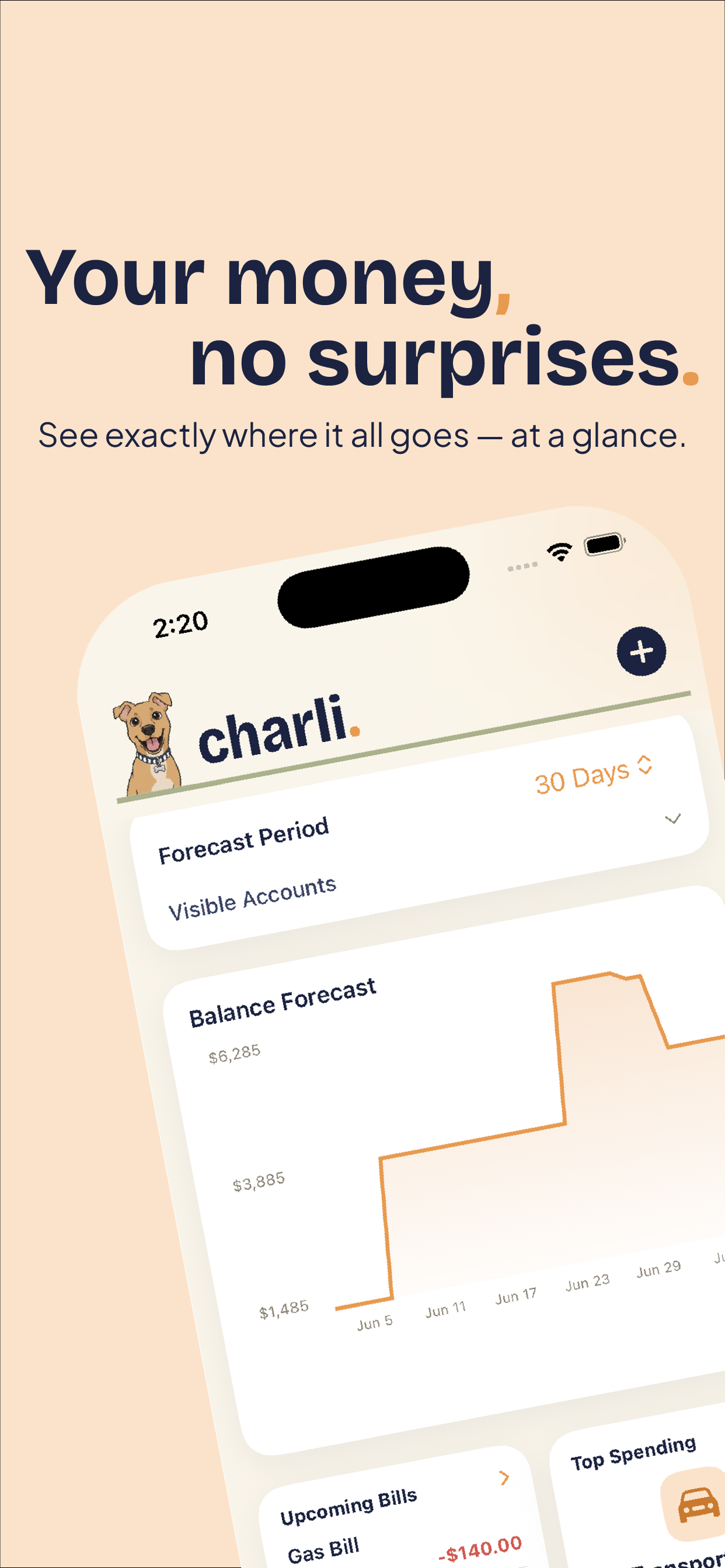Charli Finance Tracker screenshot 2