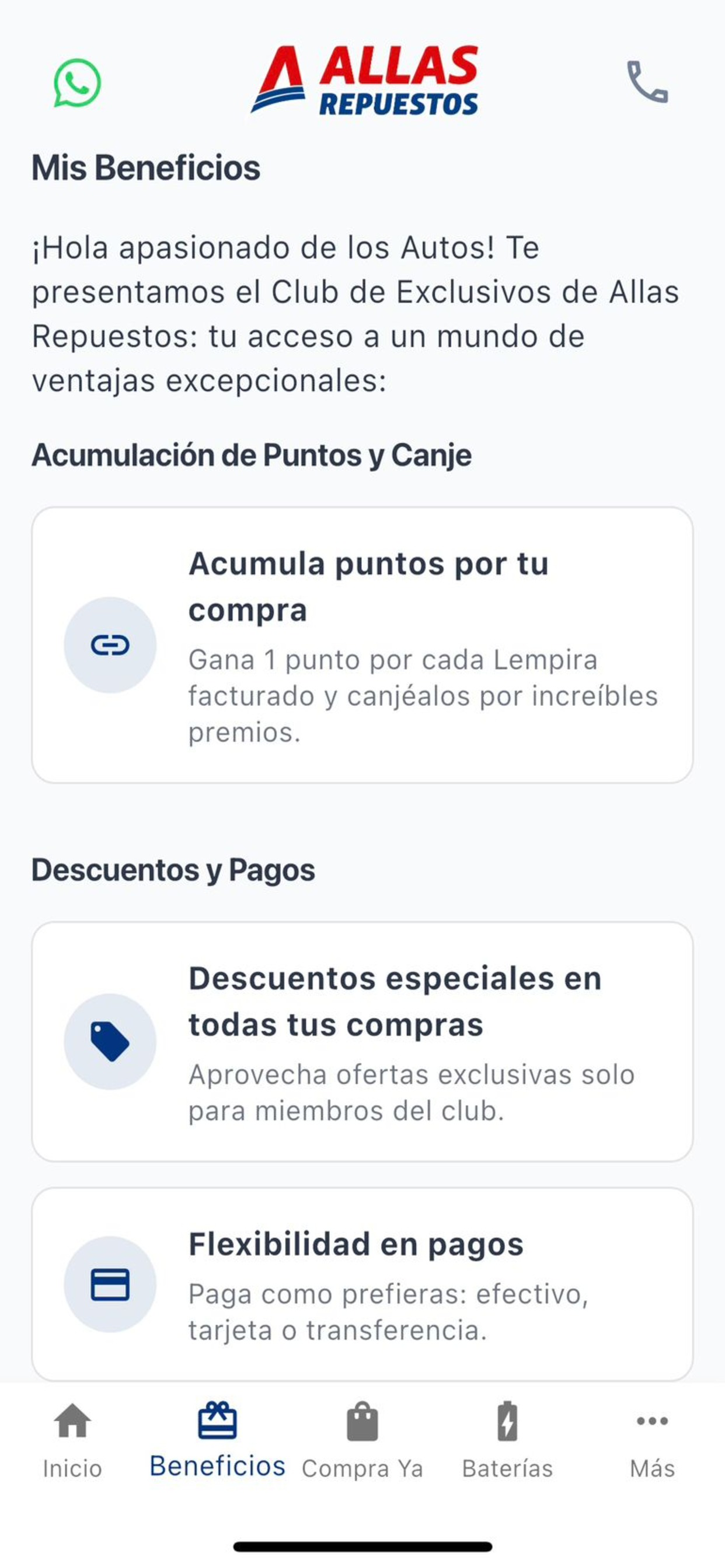 Allas Repuestos + Baterías