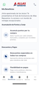 Allas Repuestos + Baterías screenshot
