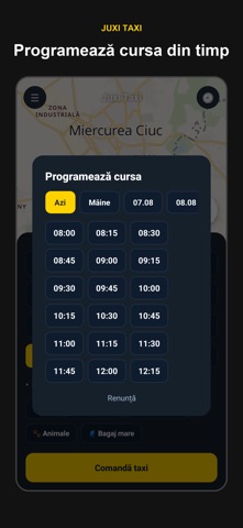 Juxi Taxi screenshot 3